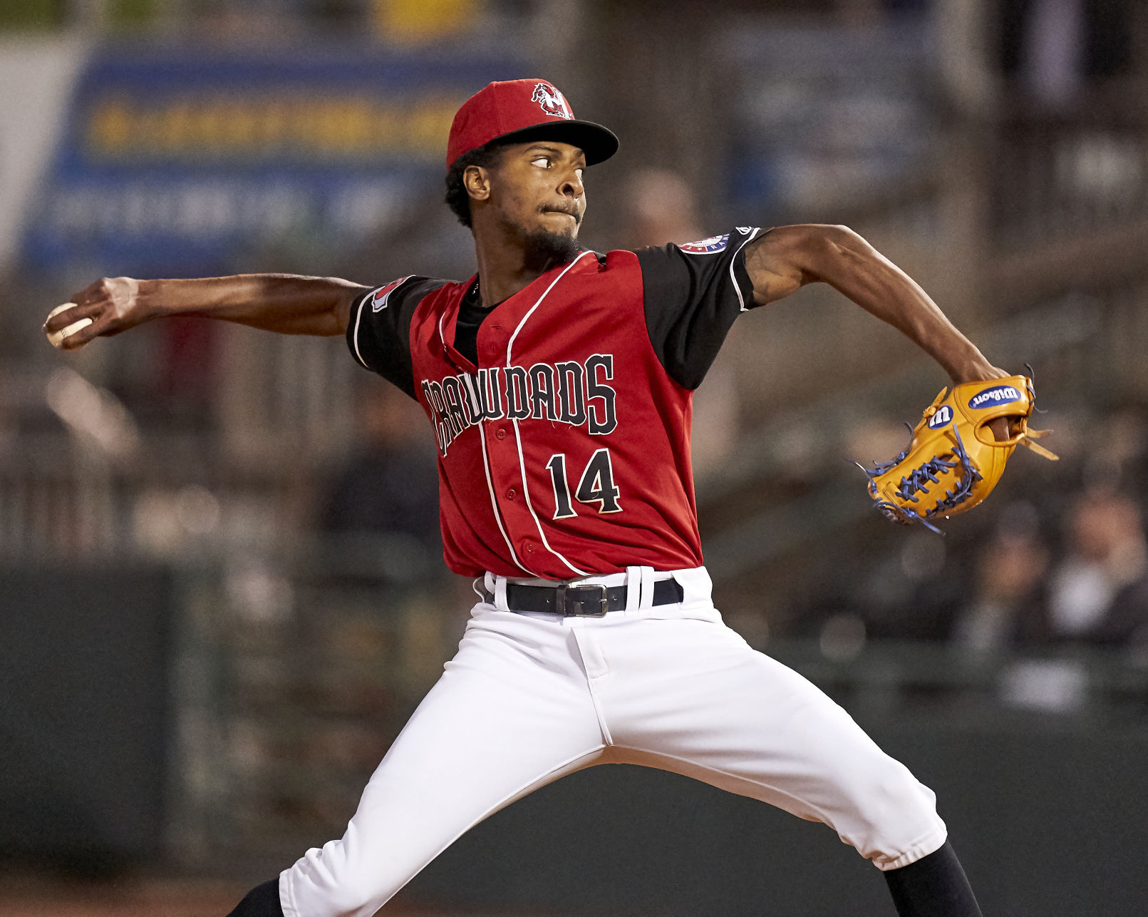 20190824 CRAWDADS 9.jpg